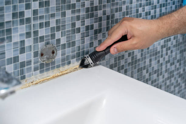 Mold Removal and Inspection in Hebbronville, TX
