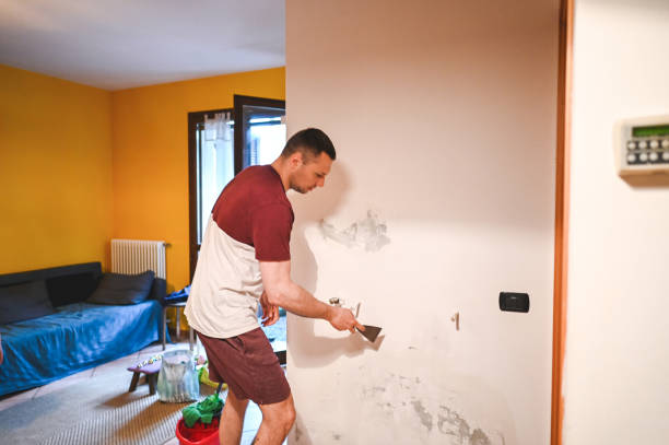 Best Home Mold Removal  in Hebbronville, TX